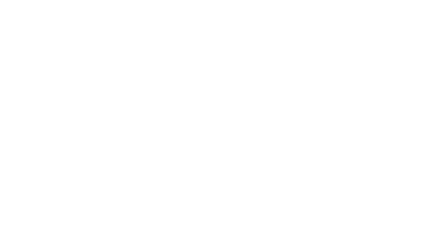 IPESSE